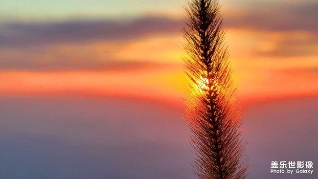 《每周星鮮事》 第94期: