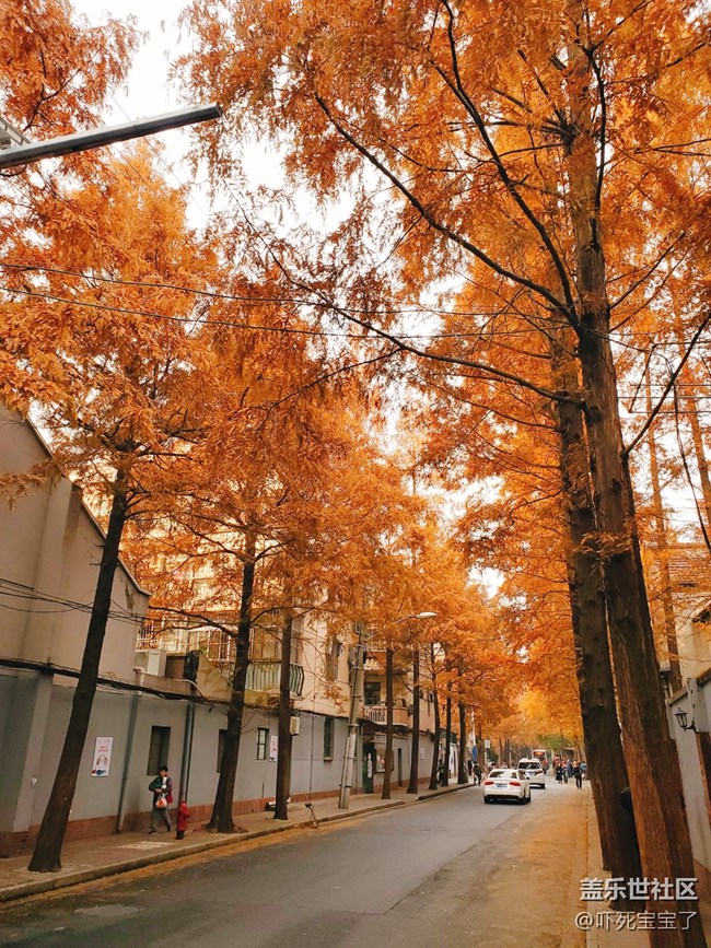 【雙旦季】12月的上海充滿了愛的歡喜