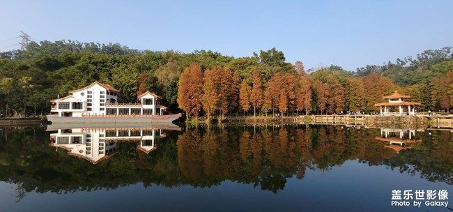 《每周星鮮事》 第94期: