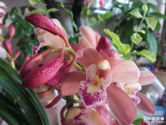 《每周星鮮事》 第94期: