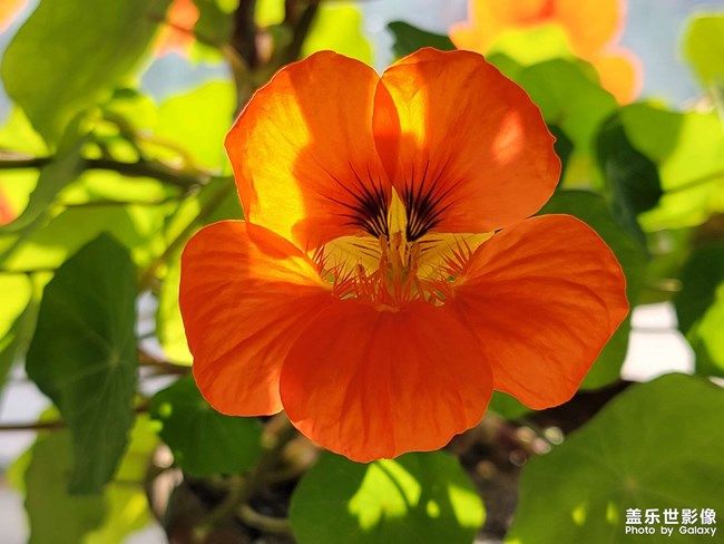 《每周星鮮事》 第94期: