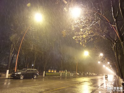 【新年隨拍】新年的第一場雪