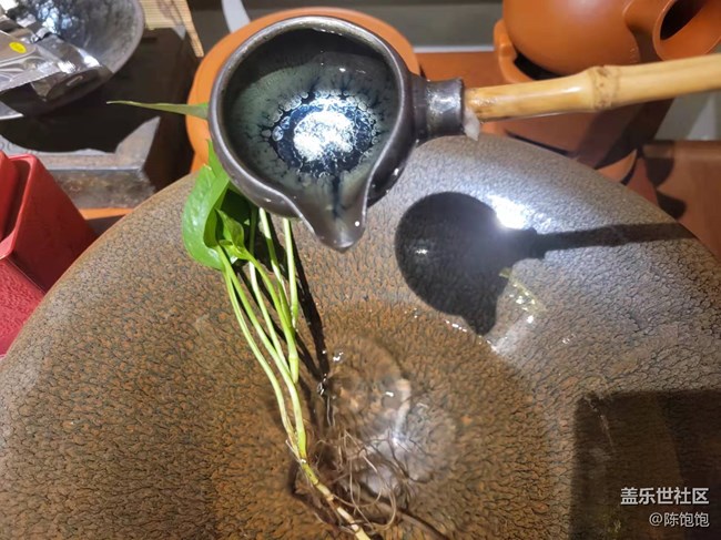 泥塑臉譜攝影活動回顧