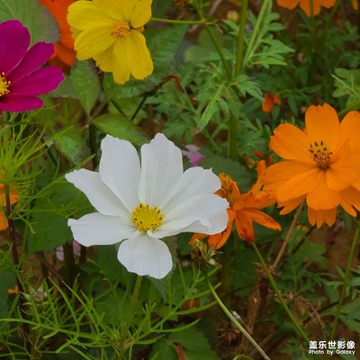 春天快到了！