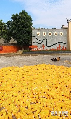 鄉(xiāng)村隨拍（2）