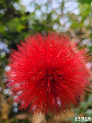太原植物園