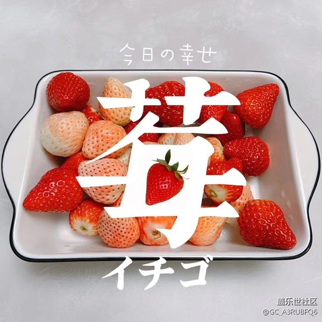 【2022新星愿】+聚餐