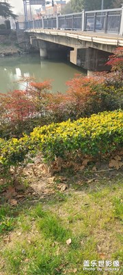 桐徑公園