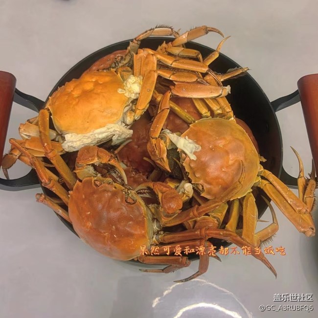 【2022新星愿】+聚餐