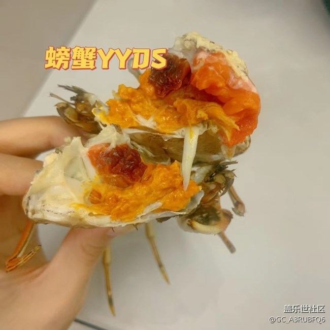 【2022新星愿】+聚餐