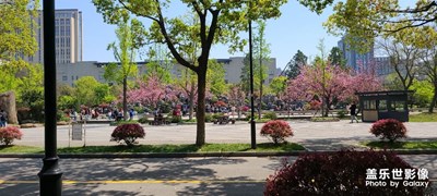 桐徑公園