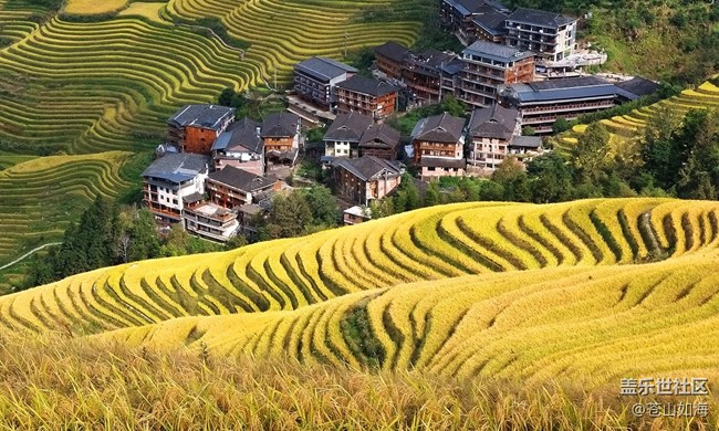 [美好回憶](méi)八桂鄉(xiāng)村秋色