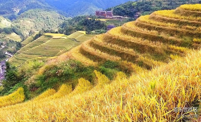 [美好回憶](méi)八桂鄉(xiāng)村秋色