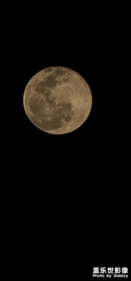 夜間圓月