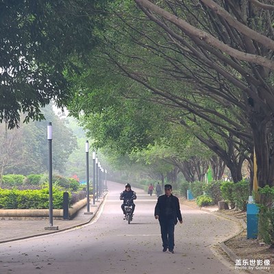 長焦圖片