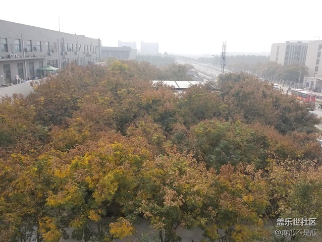 【開年第一帖】+ 2022年第一帖