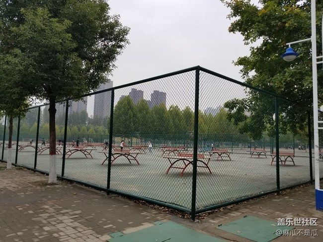 【2022新星愿】+2022年新年新愿望