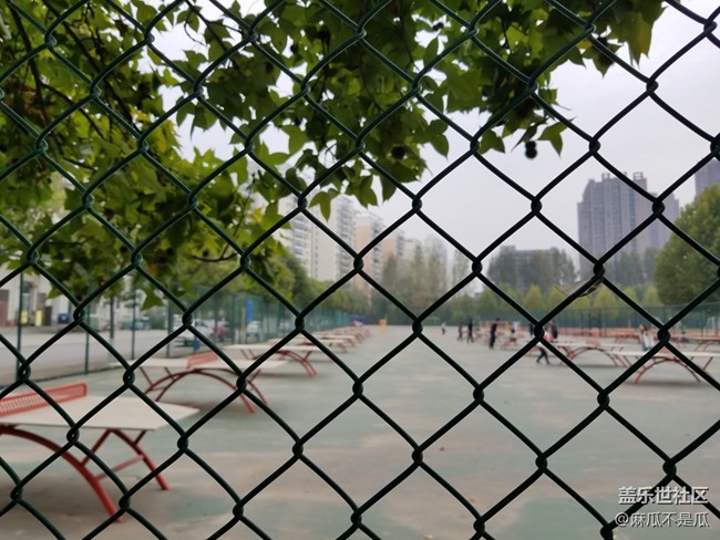 【2022新星愿】+2022年新年新愿望