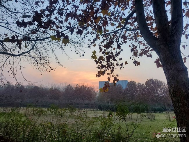 【2022新星愿】+堅持早睡