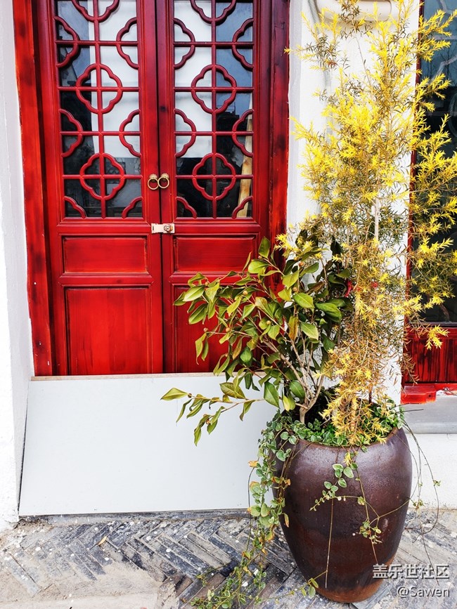 【2022新星愿】+虎年大吉