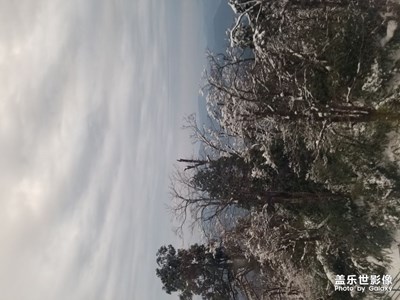 【發(fā)現(xiàn)之美】+登高會雪