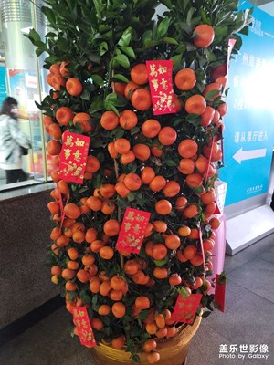 啥都不說，祝大家大吉大利。