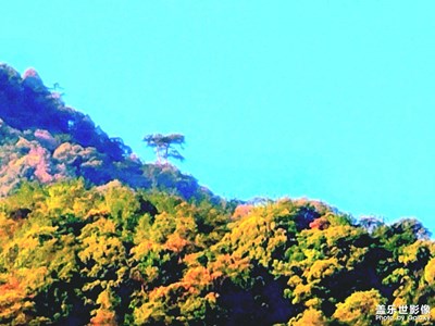 無限風(fēng)光在險峰