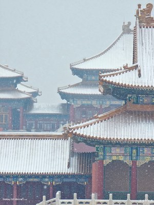 Galaxy S21 Ultra 5G  宮里的那場雪