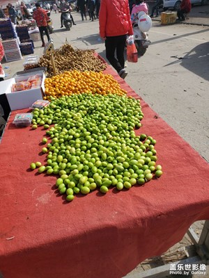 【家鄉(xiāng)年味】趕年集