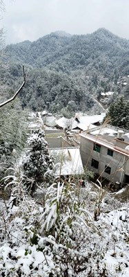 雪景。。