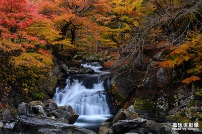 夢幻般風景，歡迎點評