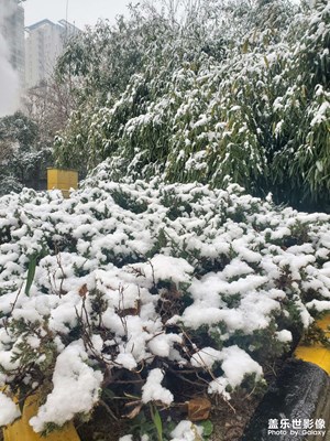 又下雪了