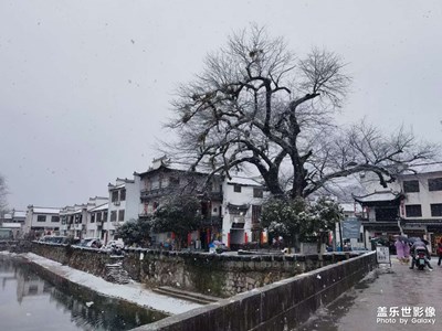 黃山今日大雪