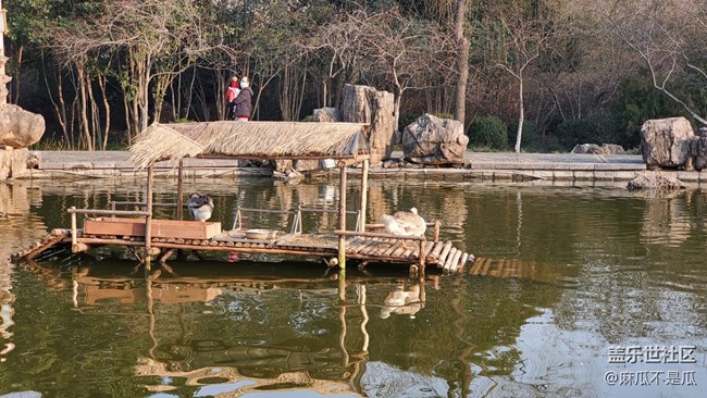 【新年日常分享】+新年逛公園