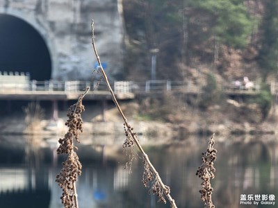 初五的武當(dāng)山下