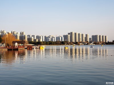 【新春色彩】+陽光明媚