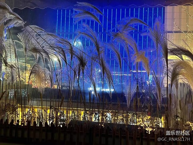 【春節(jié)美食】姐妹聚會(huì)