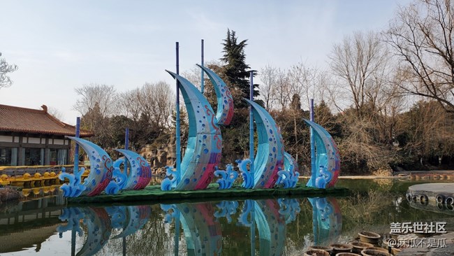 【新年日常分享】+新年逛公園