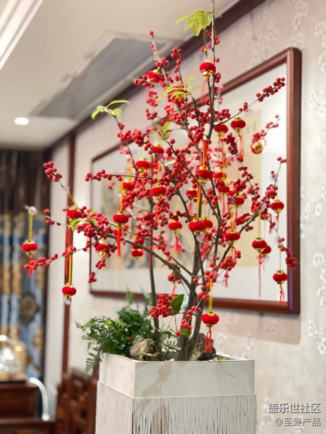 【新年日常分享】一年又一年