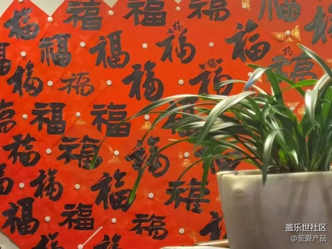 【新年日常分享】一年又一年