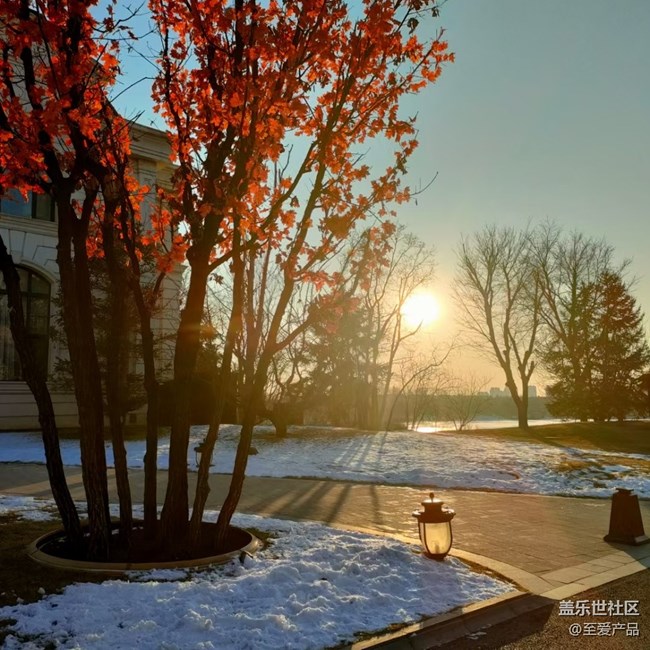 【新年日常分享】一年又一年