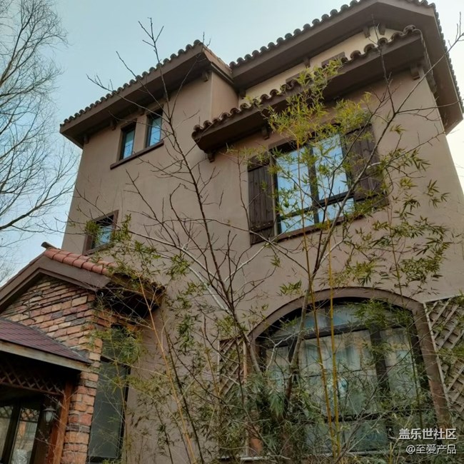 【新年日常分享】一年又一年