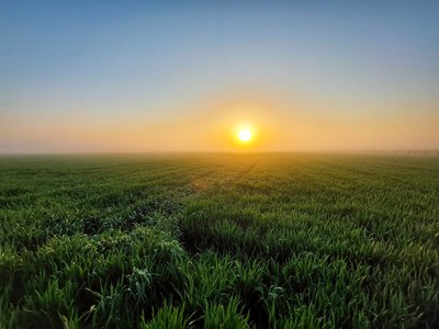 開封老家，隨手拍風景 三星A52 5g