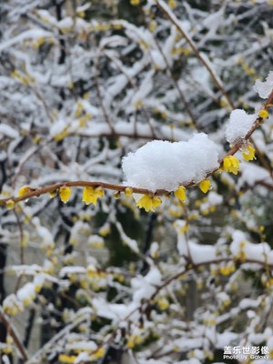 武漢2022年初雪