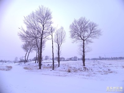 春雪