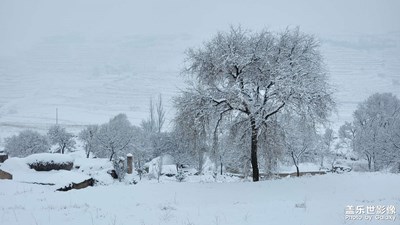 小村雪景2