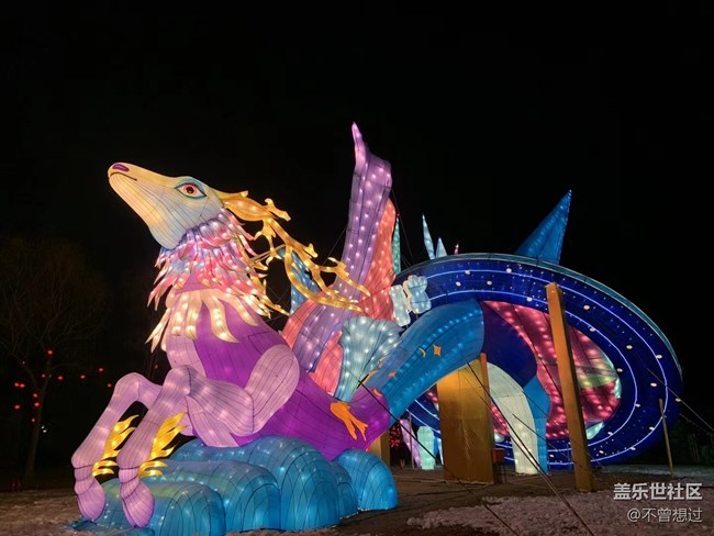 【家鄉(xiāng)年味】看花燈