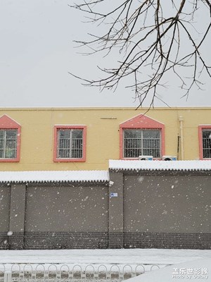二月雪