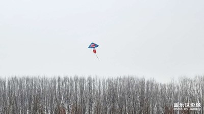【風(fēng)箏】