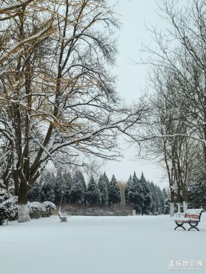 虎年第一場(chǎng)雪